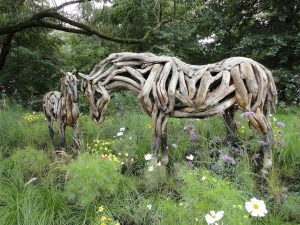 Espoir_et_Odyssée_-_Heather_Jansch_-_Angleterre